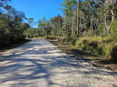 BERRYHILL Drive, Webster, FL, 33597 — photo 2