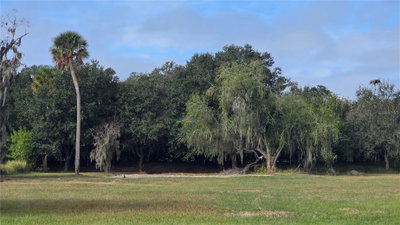 15311 FISHHAWK HEIGHTS Run, Lithia, FL, 33547 — photo 2