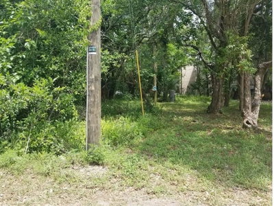 832 145TH Avenue, Tampa, FL, 33613 — photo 2