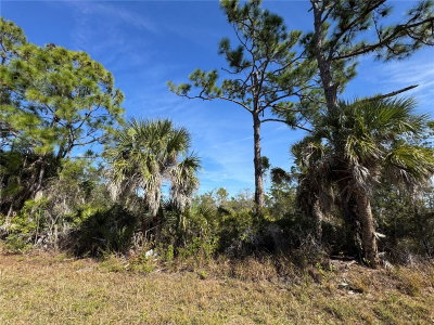 3110 GILLOT Boulevard, Port Charlotte, FL, 33981 — photo 2