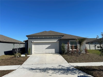 5380 BLUE HORIZON Way, Wimauma, FL, 33598 — photo 2