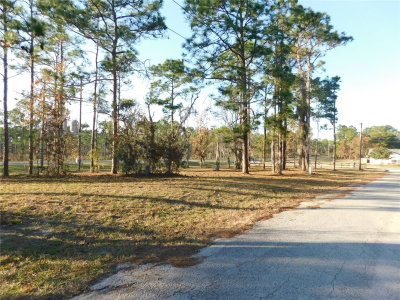 4932 ELIZA Court, Inverness, FL, 34452 — photo 2