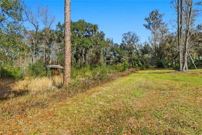 HIGGINSON Road, Zephyrhills, FL, 33540 — photo 2