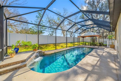 11652 PALMETTO PINE Street, Riverview, FL, 33569 — photo 2