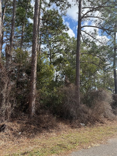 TBD SE 190TH AVENUE, Silver Springs, FL, 34488 — photo 2