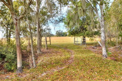 COLDING Loop, Wimauma, FL, 33598 — photo 2