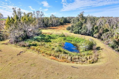 COLDING Loop, Wimauma, FL, 33598 — photo 2