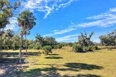 CARLTON LAKE Road, Wimauma, FL, 33598 — photo 2