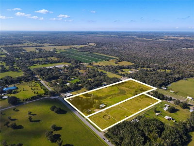 8719 & 8809 LITHIA PINECREST Road, Lithia, FL, 33547 — photo 2