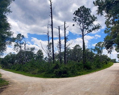 CORAL ROCK Drive, Webster, FL, 33597 — photo 2
