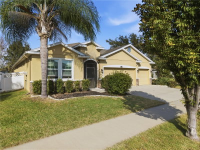 10420 PLEASANT SPRING Way, Riverview, FL, 33578 — photo 2
