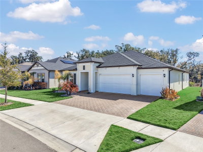 12853 BERGSTROM BAY Drive, Riverview, FL, 33579 — photo 2