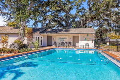704 LYNDHURST Street, Dunedin, FL, 34698 — photo 2