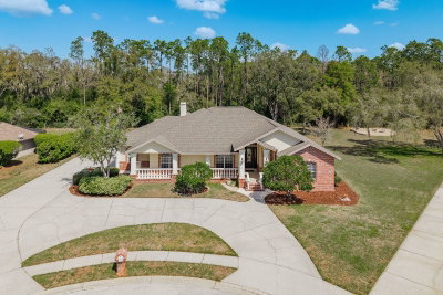 6207 CLAIRE DE LUNE Court, New Port Richey, FL, 34655 — photo 2