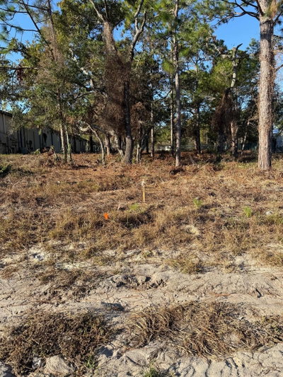13786 LINDEN Drive, Spring Hill, FL, 34609 — photo 2
