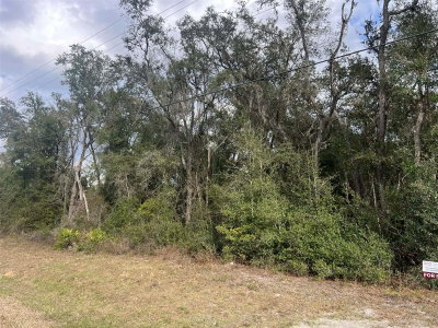 7466 TREIMAN Boulevard, Webster, FL, 33597 — photo 2