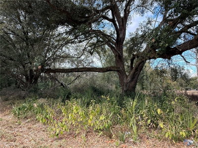 HILDA RD, Dade City, FL, 33523 — photo 2