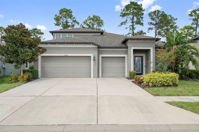 18565 OBREGAN Drive, Spring Hill, FL, 34610 — photo 2