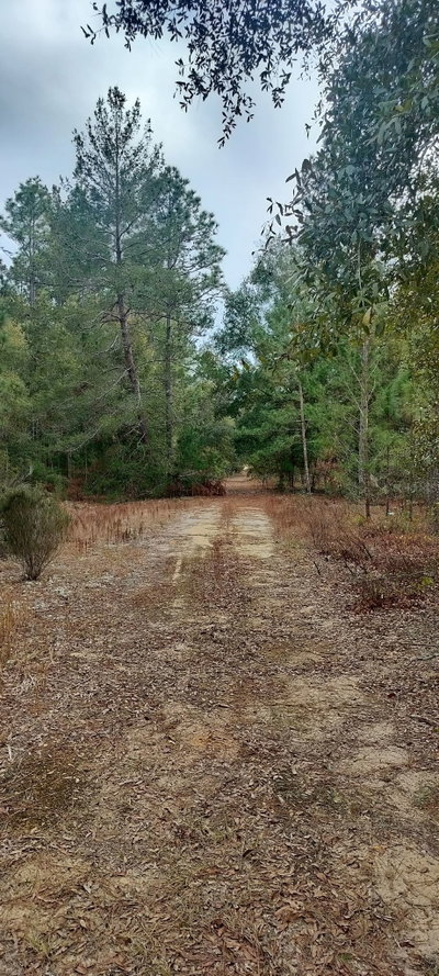 326 ELM Trail, Interlachen, FL, 32148 — photo 2