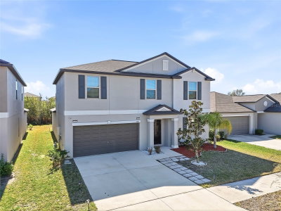 5431 AMARYLLIS GARDEN Street, Ruskin, FL, 33570 — photo 2