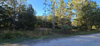 7784 TWIN CANAL Lane, Homosassa, FL, 34448 — photo 2