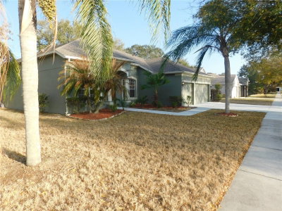 12902 CATTAIL SHORE Lane, Riverview, FL, 33579 — photo 2