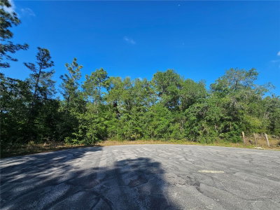 13431 FLAGSTAFF Drive, Brooksville, FL, 34614 — photo 2