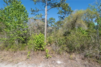 12934 TANNER Road, New Port Richey, FL, 34654 — photo 2
