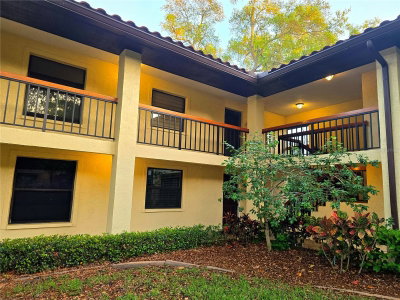 2009 HAMMOCK PINE Boulevard, Clearwater, FL, 33761 — photo 2