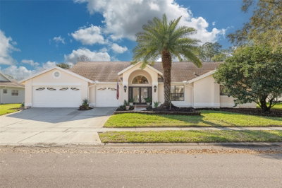 470 HICKORYNUT Avenue, Oldsmar, FL, 34677 — photo 2