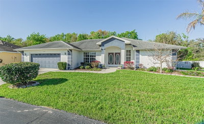 10504 MOSHIE Lane, San Antonio, FL, 33576 — photo 2