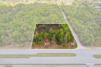 161 NORVELL BRYANT Highway, Hernando, FL, 34442 — photo 2
