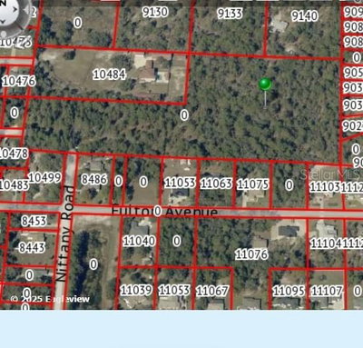 GANNET Avenue, Weeki Wachee, FL, 34613 — photo 2