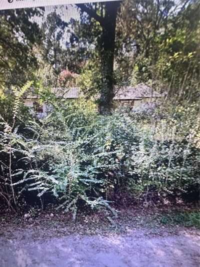 2180 BONIFAY GRITNEY Road, Caryville, FL, 32425 — photo 2