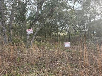 62 Place, Williston, FL, 32696 — photo 2