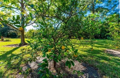 25271 ROLAND Lane, Punta Gorda, FL, 33955 — photo 2
