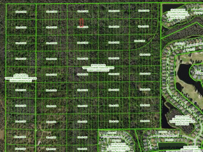 UNASSIGNED, Wesley Chapel, FL, 33544 — photo 2