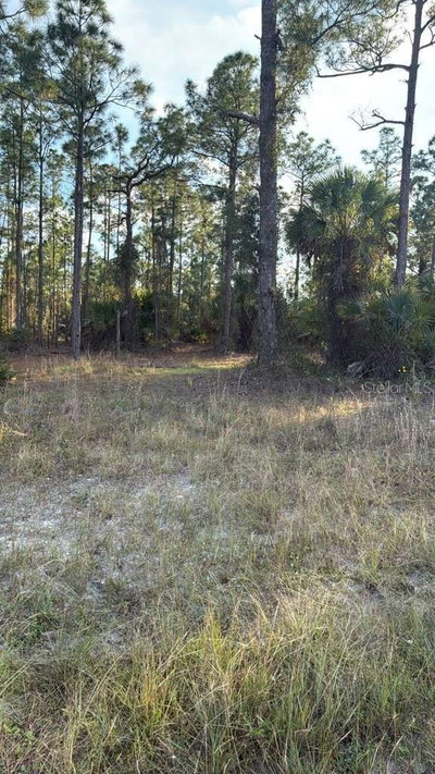 918 BELMONT Street, Lehigh Acres, FL, 33974 — photo 2