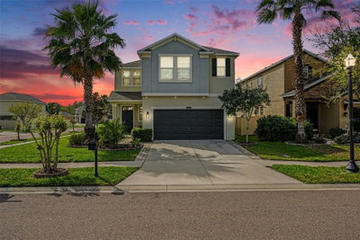 8165 FAIRE FROST Lane, Land O Lakes, FL, 34637 — photo 2