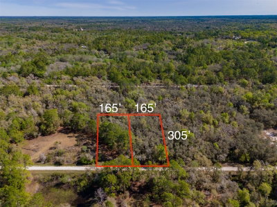 7252 SONIA Avenue, Webster, FL, 33597 — photo 2