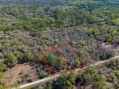 7262 SONIA Avenue, Webster, FL, 33597 — photo 2