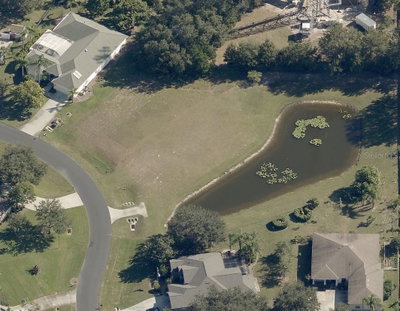 19915 DOLORES ANN Court, Lutz, FL, 33549 — photo 2