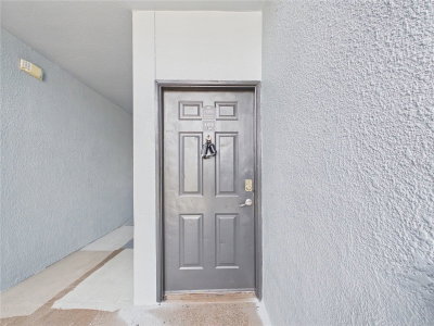 16305 ENCLAVE VILLAGE Drive, Tampa, FL, 33647 — photo 2