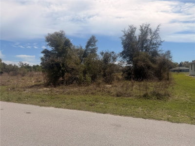 31073 PEACE Street, Punta Gorda, FL, 33982 — photo 2
