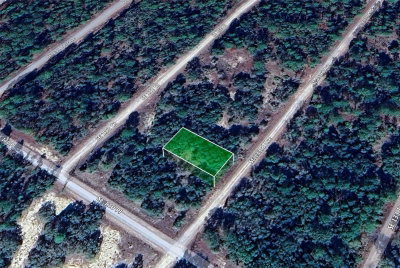Lot 31 133RD, Dunnellon, FL, 34431 — photo 2