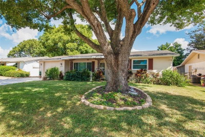 3802 MYNABIRD Drive, New Port Richey, FL, 34652 — photo 2