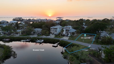 231 LAGOON Drive, Palm Harbor, FL, 34683 — photo 2
