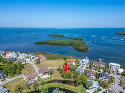 POINTE ALEXIS Drive, Tarpon Springs, FL, 34689 — photo 2