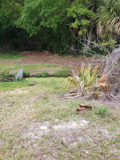 GROSSE Avenue, Tarpon Springs, FL, 34689 — photo 2