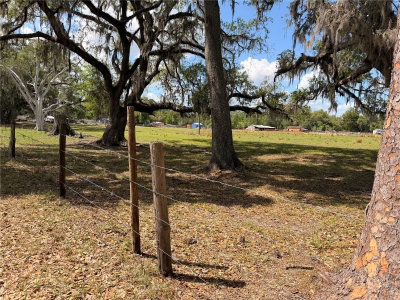 20512 RAMER Road, Dade City, FL, 33523 — photo 2